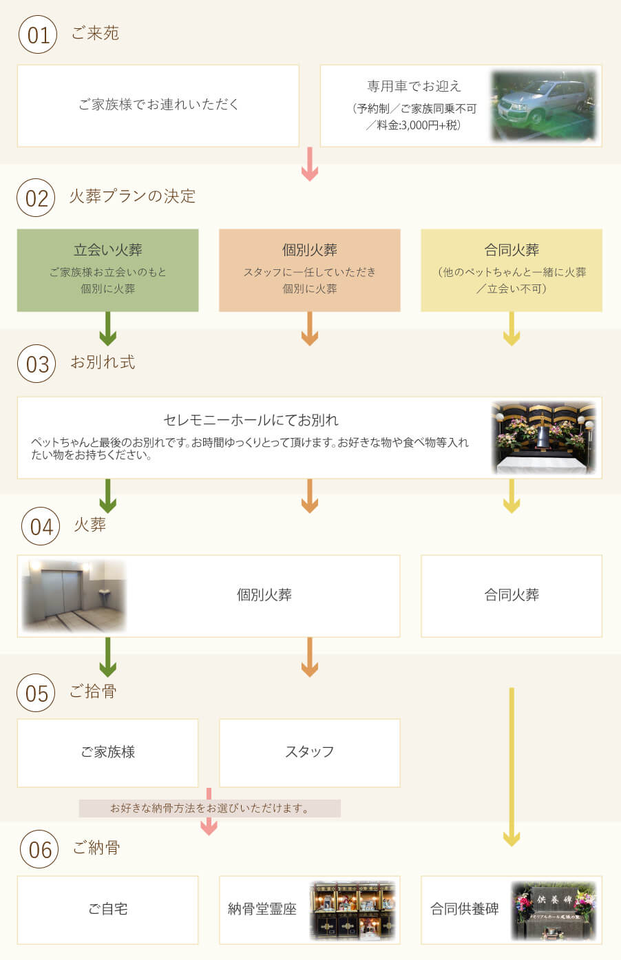 葬儀の手順図